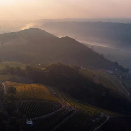 Weingut Schuh * Coswig (Saxony)