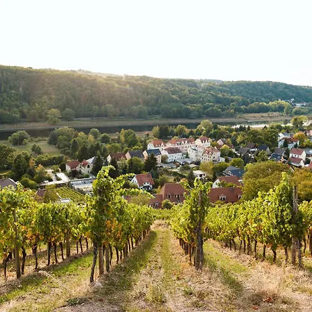 Weingut Schuh