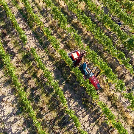 Guest house Weingut Schuh Coswig (Saxony)