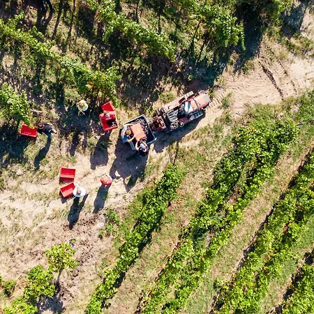 Weingut Schuh * Coswig (Saxony)