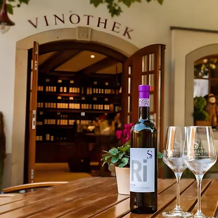 Weingut Schuh * Coswig (Saxony)